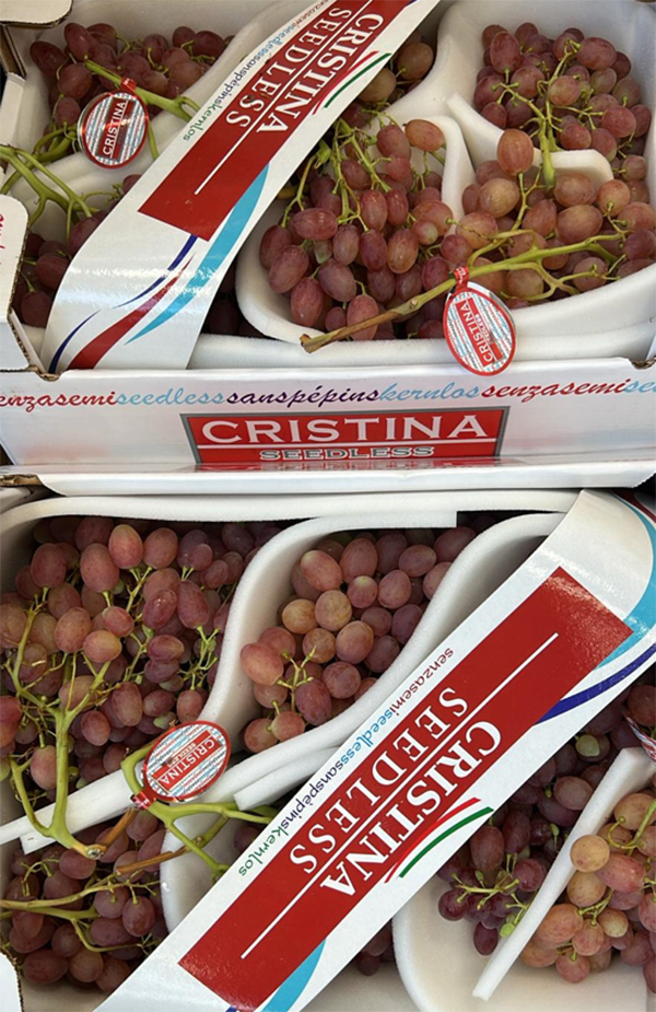 Uva senza semi - Sicilia - 6 euro al chilogrammo